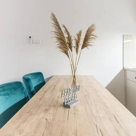 Lejlighed Daisy Novi Sad